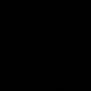 Meet your Posher, Daytona